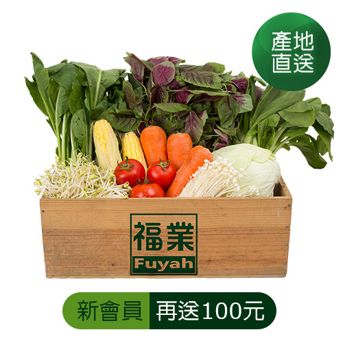 【免運】有機蔬菜箱●蔬果箱 (線上店限定)