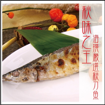 海撰鮮品-秋刀魚