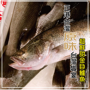 海撰鮮品-金目鱸魚(全尾)