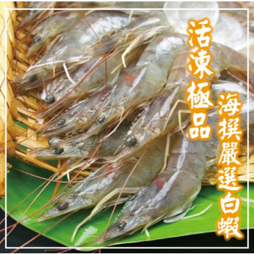 海撰鮮品-嚴選白蝦